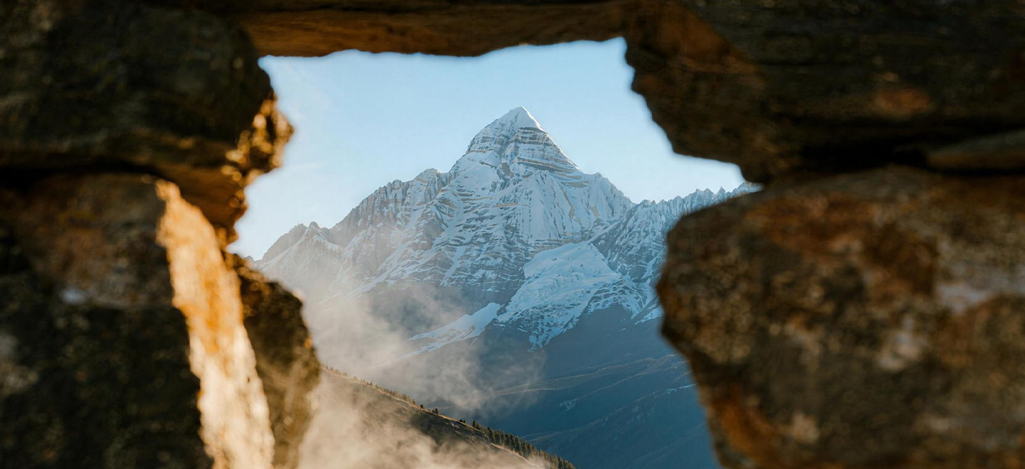 画板 1 拷贝 3.jpg