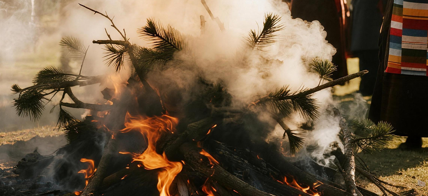 画板 1 拷贝 2.jpg