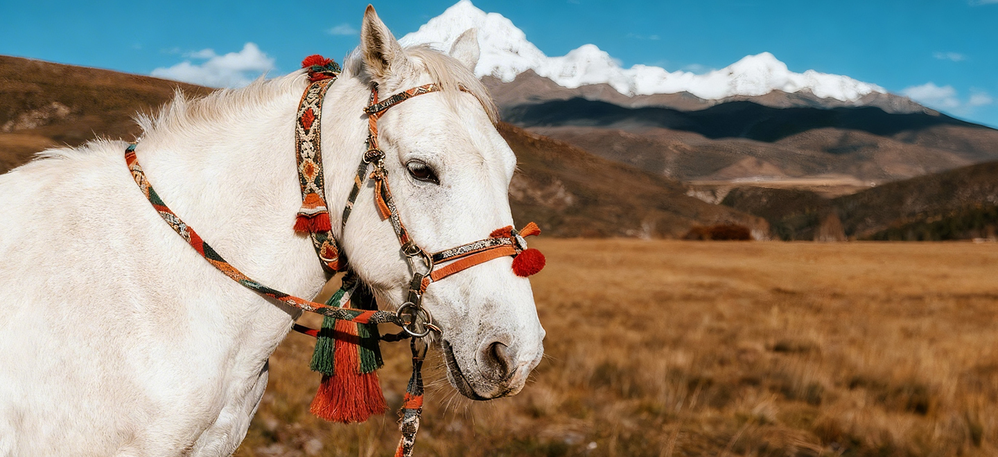 画板 1 拷贝 3.jpg