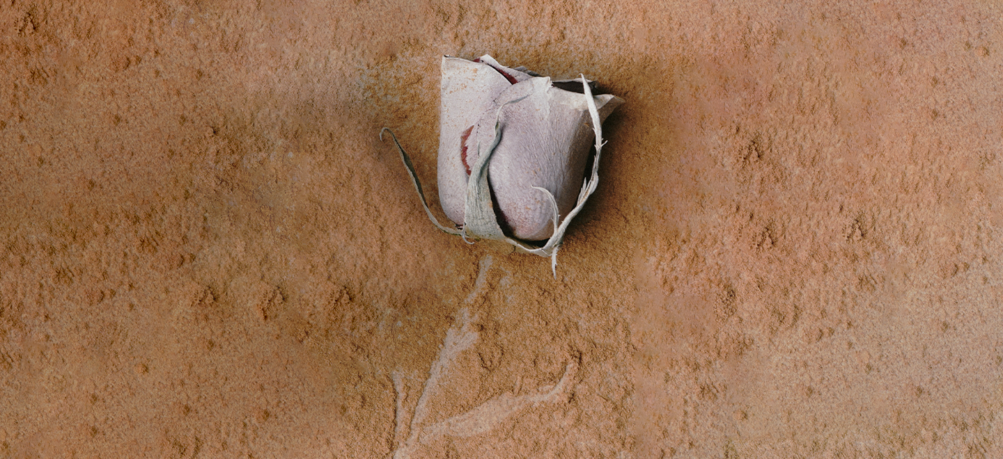 画板 1 拷贝 4.jpg