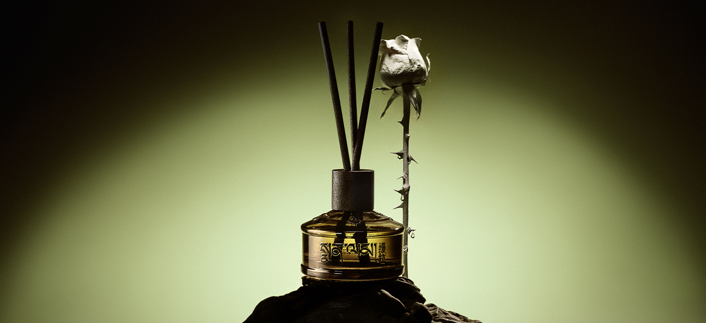 画板 1 拷贝 6.jpg